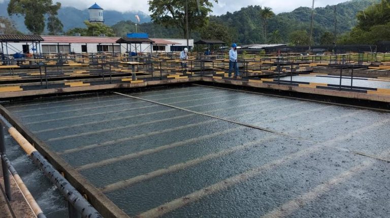 Protocolos por lluvias mantienen buenos niveles en el servicio de agua