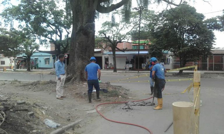 Mil 700 personas del Limón beneficiadas con obra del IBAL