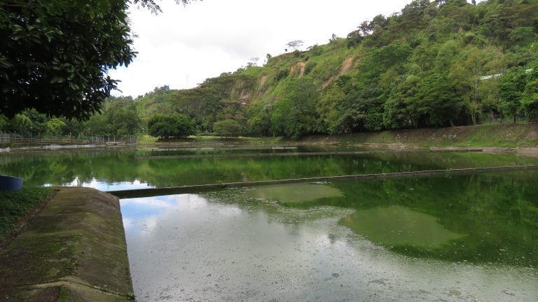 IBAL y Servicio Nacional de Aprendizaje – SENA inician proyecto de investigación para reducir la carga contaminante del agua