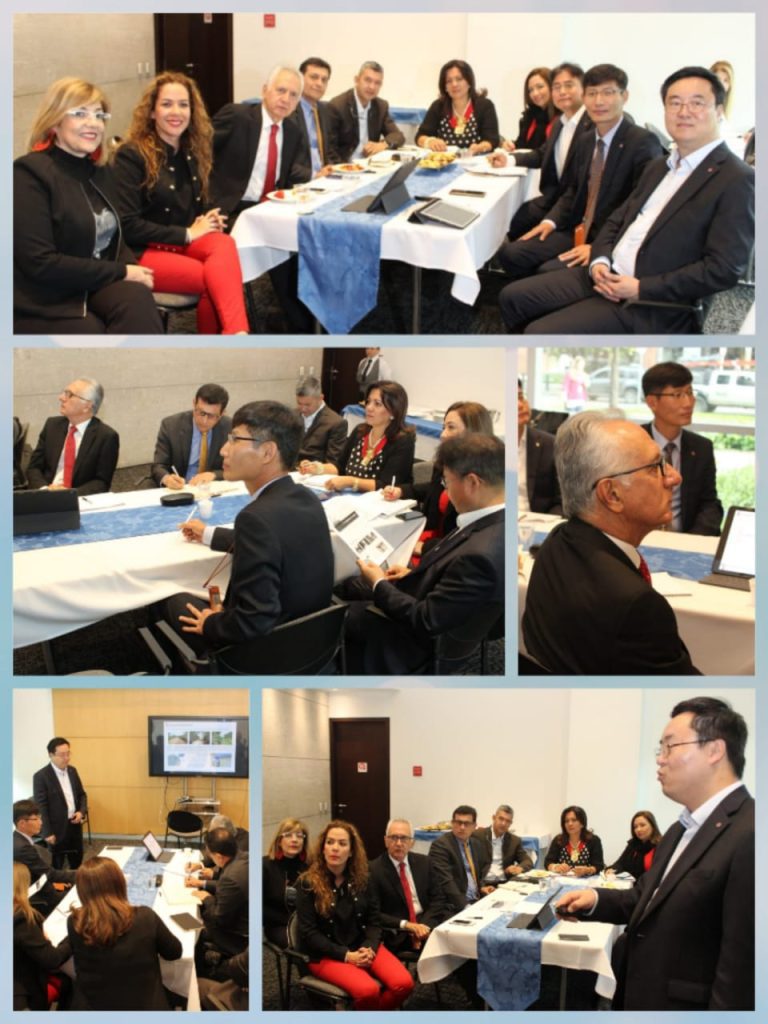 Se fortalece la Gestión Internacional para la energía limpia en Ibagué