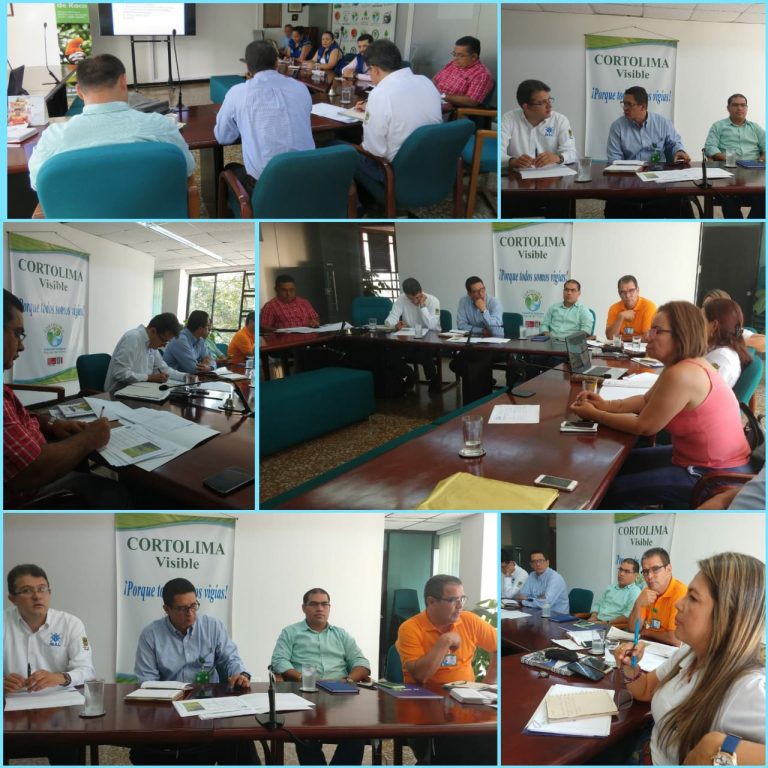 El Proyecto Integral Cuenca Combeima -PICC- se fortalece en el año 2019