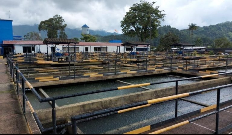 Este martes se podrán presentar bajas presiones en el suministro de agua en Ibagué.