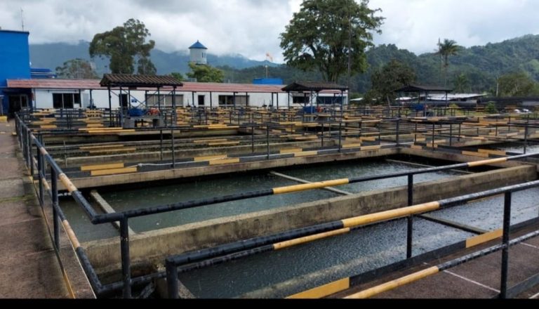 Se continúa en alerta por lluvias registradas en la ciudad, que afectan el sistema de acueducto