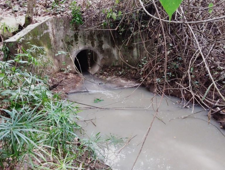 📌 Recuerda que si generas aguas residuales no domésticas, debes caracterizarlas ante el IBAL.