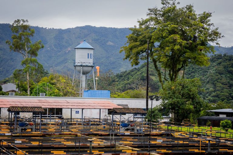 Por fuertes lluvias, Ibagué presenta variación en el servicio de agua