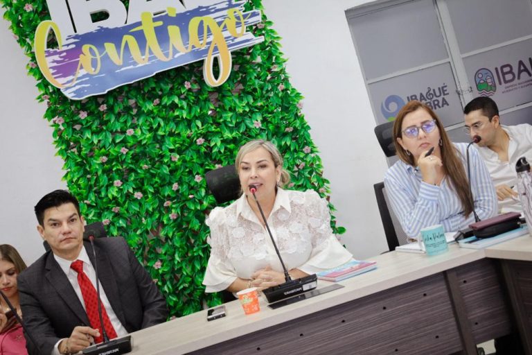 “Trabajaremos para que haya agua en cada rincón de Ibagué”: Johana Aranda