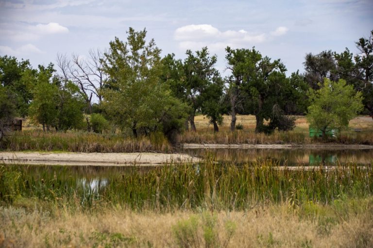 En Ibagué, contamos con 21 hectáreas de humedales, estratégicas para la vida de todos