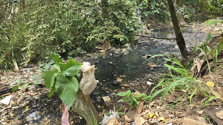 Alcaldía conmemoró Día Mundial del Agua con la recuperación de la quebrada Hato de la Virgen