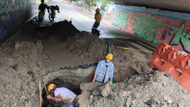 IBAL atiende daño en línea de distribución de La Floresta