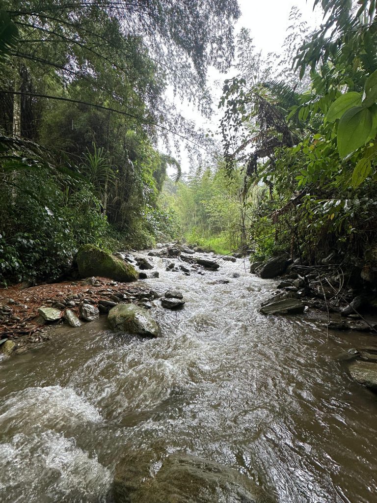 Alcaldía e IBAL logran un hito en la gestión del agua: Cortolima aprueba la concesión de la quebrada Corazón